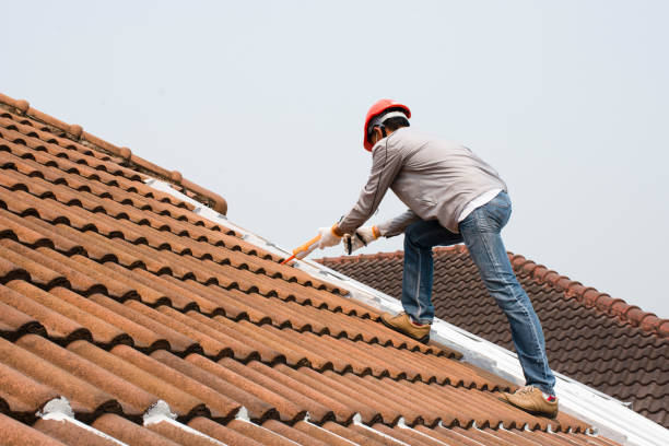 Best Emergency Roof Repair Services  in Han, GA