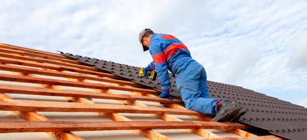 Best Asphalt Shingles Roofing  in Han, GA