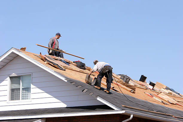 Best Cold Roofs  in Han, GA