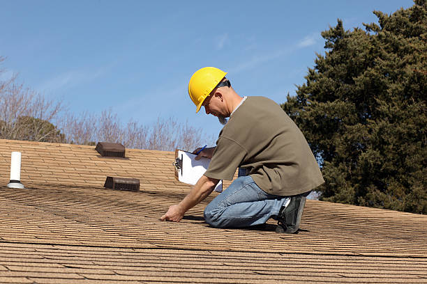 Best Asphalt Shingle Roofing  in Han, GA