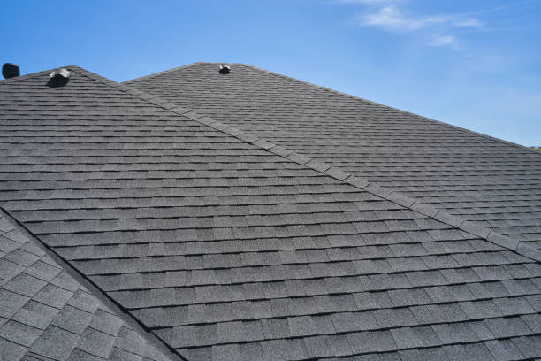 Best Roof Moss and Algae Removal  in Han, GA