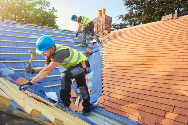 Best Skylight Installation and Repair  in Han, GA